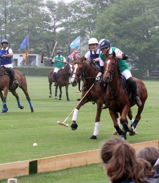 Polo_Art   006.jpg